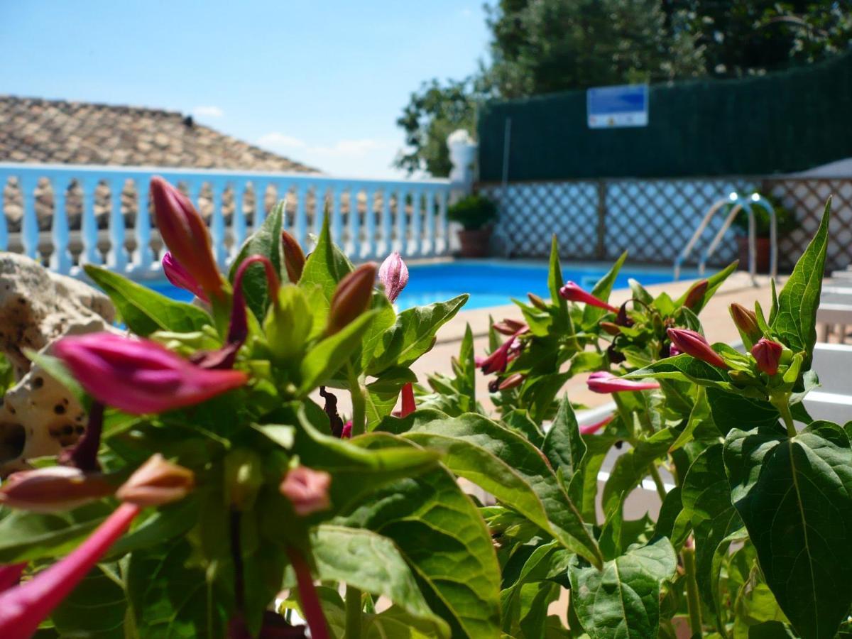 Hostal Rural Moratin Pastrana Dış mekan fotoğraf